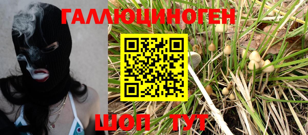 хочу наркоту  Вход с VPN  Саянск  Псилоцибиновые грибы Magic Shrooms 
