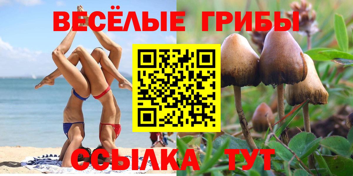 Галлюциногенные грибы прущие грибы Саянск